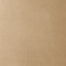 Leah Velvet Storage Ottoman Bench